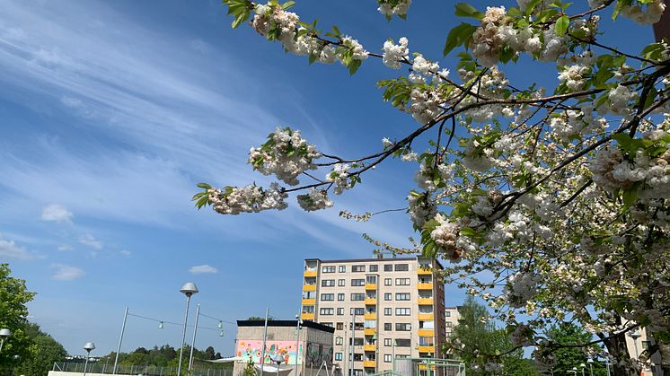 Rekordstort Lån för Social Hållbarhet till Botkyrkabyggen