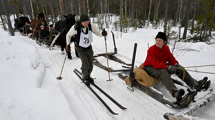 Jubileumsvasan nr 29 Per Holm från Mora kör förbi forkörare i skogen