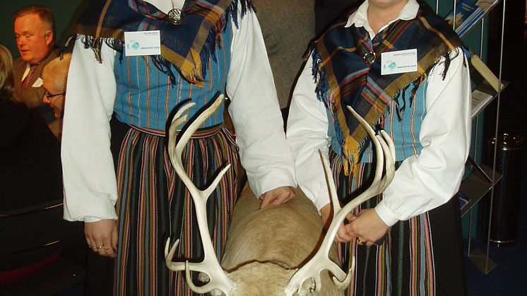 Gold of Lapland + Holland = sant
