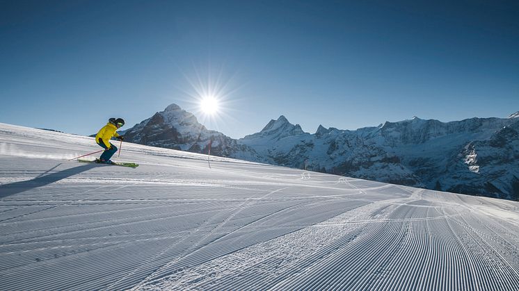 Ein Ticket für Winteraktivitäten, Bus, Bahn und Ausflugsberge in der Jungfrau Ski Region (hier Grindelwald) © Interlaken Tourismus