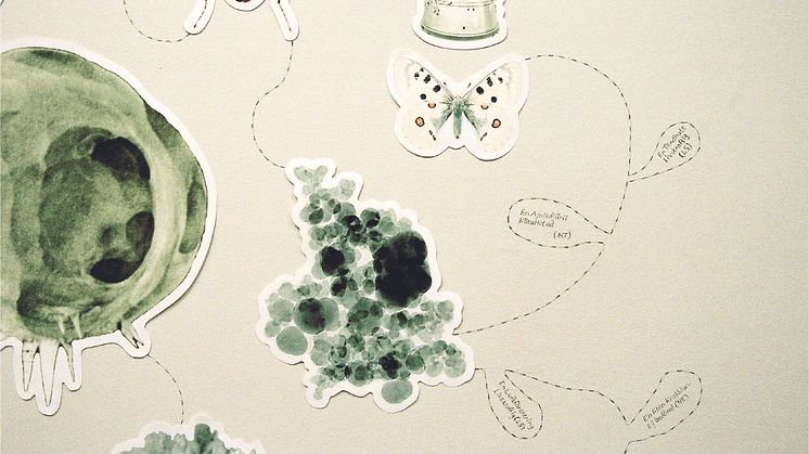 Detalj ur Mona Petersson - "Solen den skiner", Vårsalongen Liljevalchs 2012