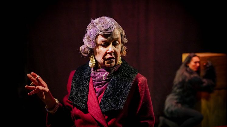 Legenden om Sally Jones
