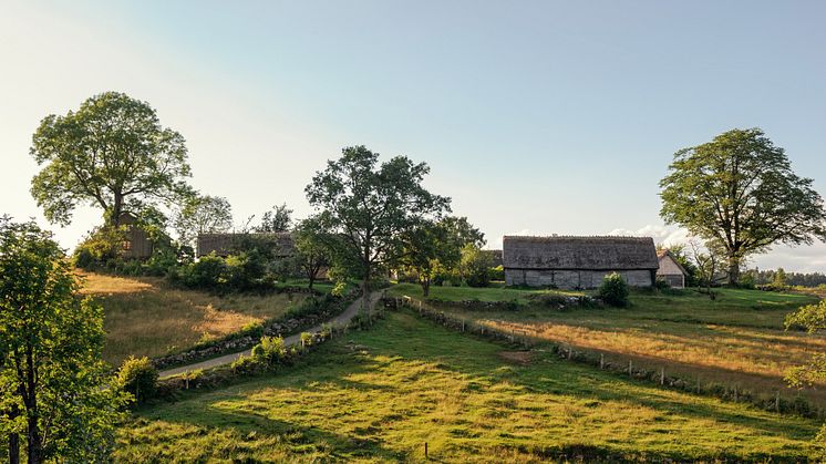 Pressmeddelande, foto Göran Assner