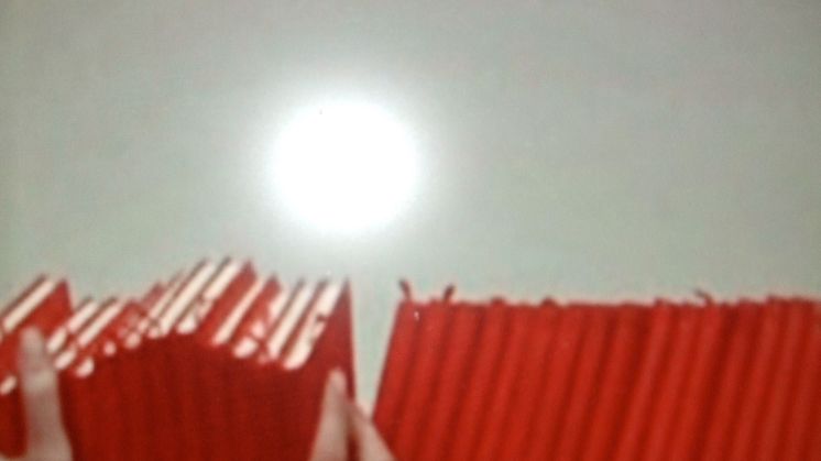 Lina Selander: "När solen går ner är den alldeles röd, sen försvinner den" . 2008