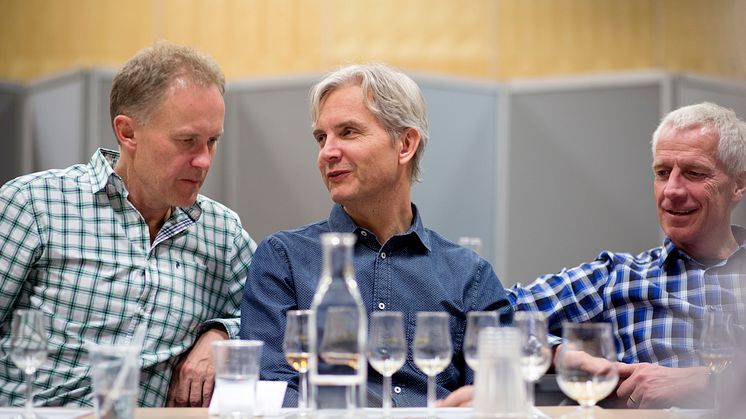 Whiskyprovning med Svenska Eldvatten