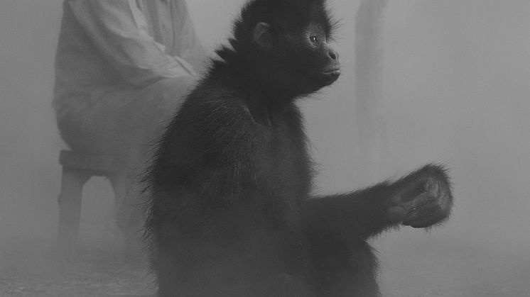 © Nick Brandt, Lucia and Chascas - Bolivia 2022 - Courtesy WILLAS contemporary