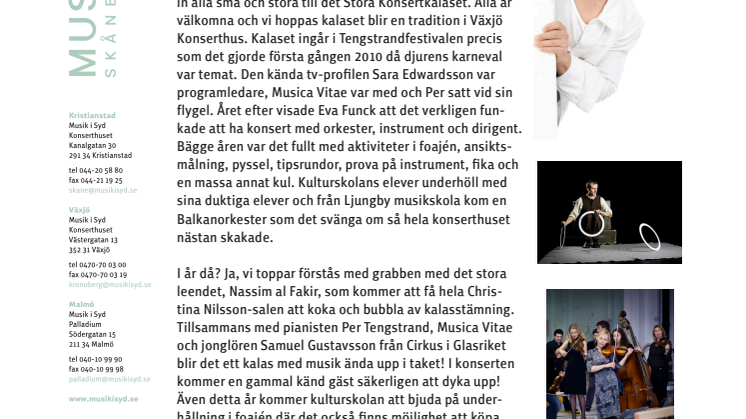 Det Stora Konsertkalaset