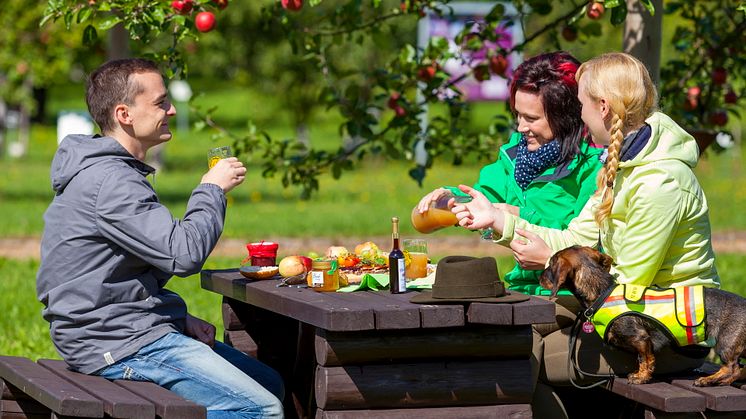 Picknick im Pomologischen Schau- und Lehrgarten Döllingen im Elbe-Elster-Land, Foto: Landkreis Elbe-Elster / Andreas Franke