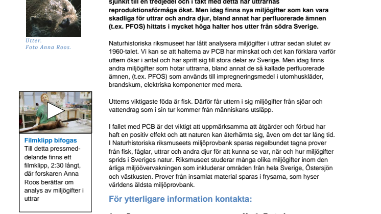 Uttrarna i Sverige mår bättre nu