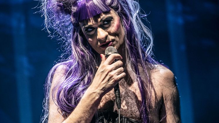 Hedwig_MB_7