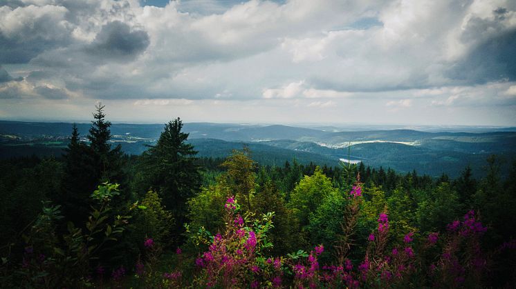 Blick vom Auersberg_Foto TVE Gravel Claub _© Dan Zoubek.jpg