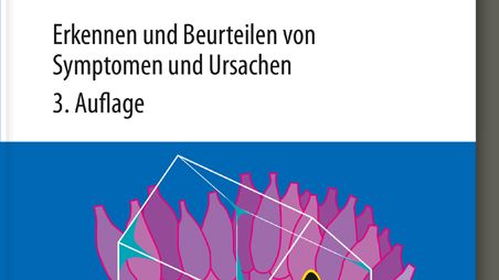 Schimmelpilze in Gebäuden