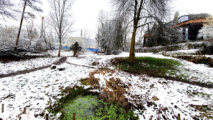 Schwinbach Aue im Schnee, Februar 2021 (Foto: Sebastian Jüngel)