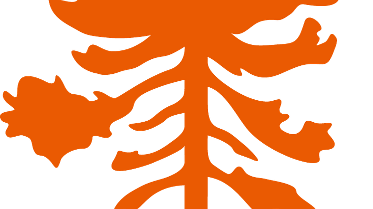 Pinewood Tree