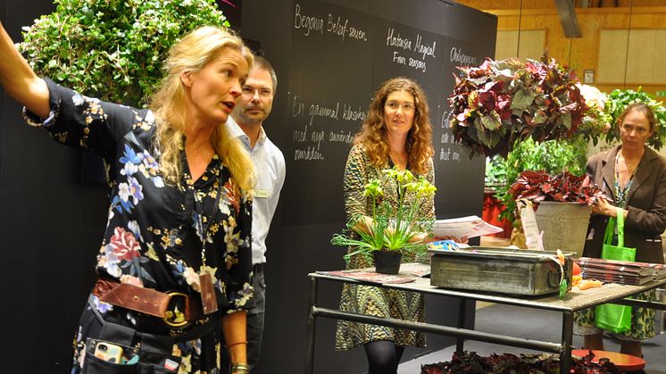 Korkskruvar och sprakande färger bland växtnyheterna hos Blomsterfrämjandet