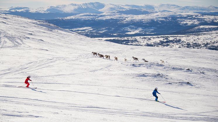 More Britons are choosing SkiStar's resorts for their skiing holidays; Bookings up 35 % in Åre and Vemdalen