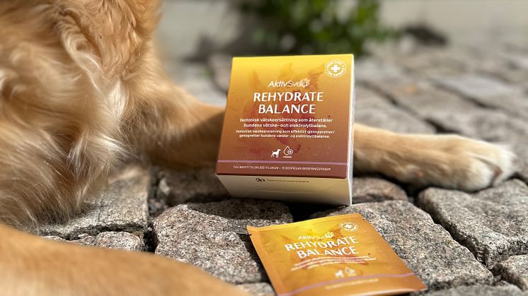 AktivSvea Rehydrate Balance