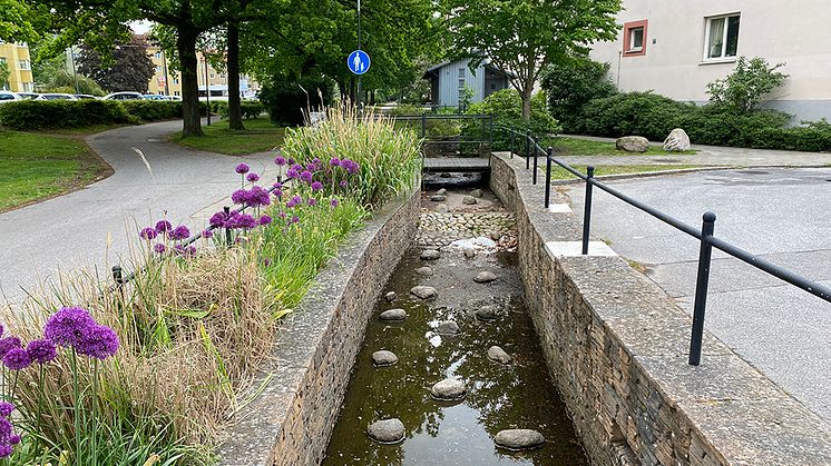 Exempel på klimatanpassning med blågröna lösningar i området Augustenborg i Malmö. Foto: Johan Holmqvist/IVL