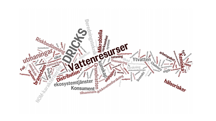 C-rapport: Verksamhetsberättelse DRICKS 2019