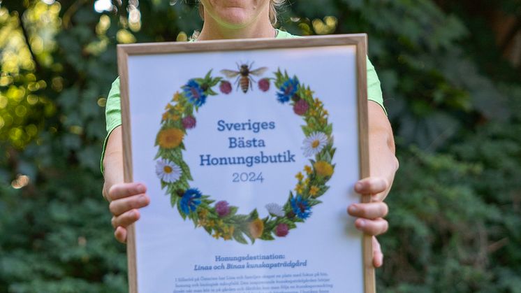 Lina Norsell, Linas och Binas