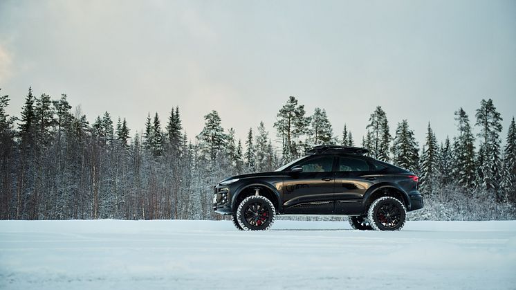 Audi Q6 e-tron offroad concept