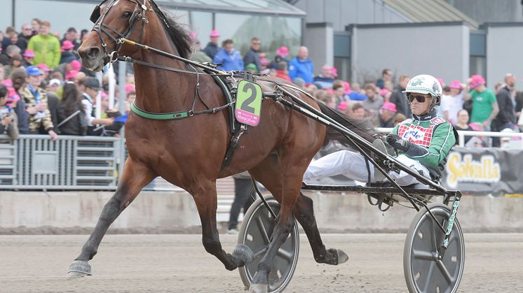 Fjolårets Elitloppstvåa klar