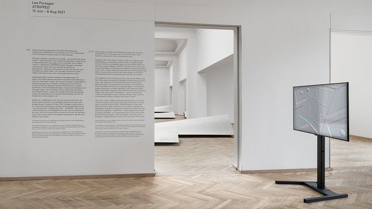 Lea Porsager, BLATIGUE [RIS Ø], 2020 /2021. G.O.D. [GENERATOR.ORGANIZER.DESTROYER], 2020. 