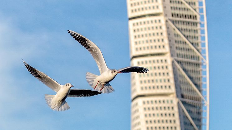 Turning Torso