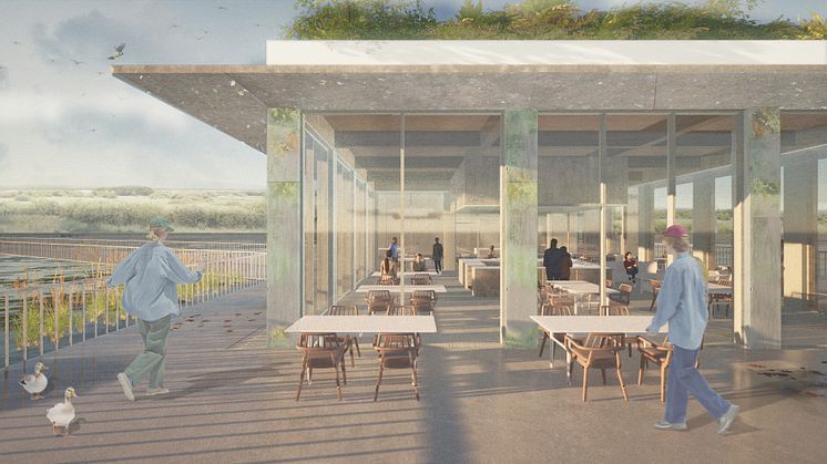 A view of design work from one of Liam’s projects, ‘Returning Wetland’.jpg