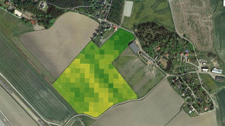 Proteinprognos Cropsat 20 junijpg.jpg