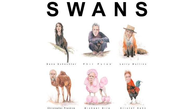 Swans - Illustration: Phil Puleo 