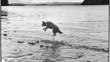 Macallan Masters of Photography