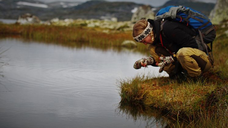 Norsk Botanisk Forening 3,2 millioner kroner til å videreføre prosjektet Ung Botaniker. Bildet er fra Ung Botanikers kurs på Finse i 2018. (Foto: Simen Hyll Hansen)