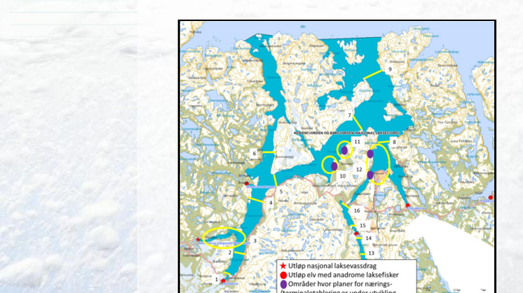 Rapporten om laksefiskers vandring i Bøkfjorden og Neidenfjorden