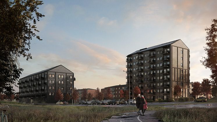 RÅformat_StenaFastigheter_Trädgården