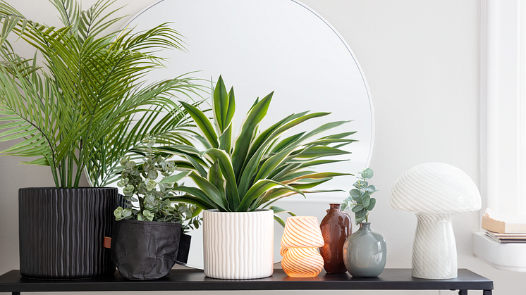 Rusta_2023_S3_Pot_plants-I