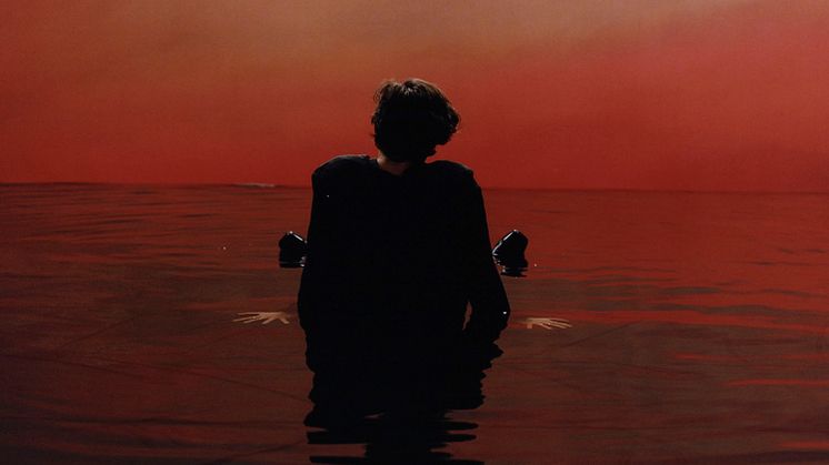 Harry Styles - "Sign of the Times"