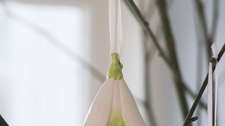1243529_Varblomser_3pk_blåveis_hvitveis_smørblomst_pp_påske (9).jpg
