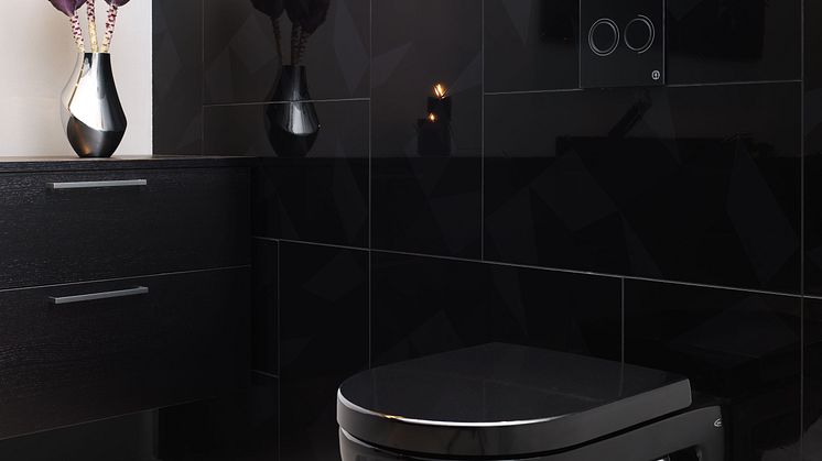 WC Gustavsberg Artic Black Edition