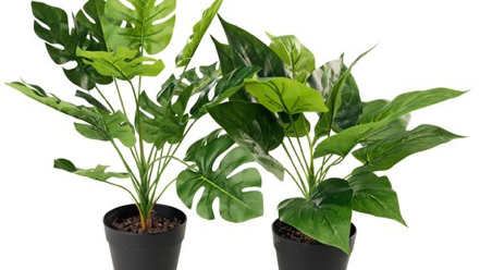 SPLURGE OR SAVE: FAUX IS THE WAY TO GO - PLANTS