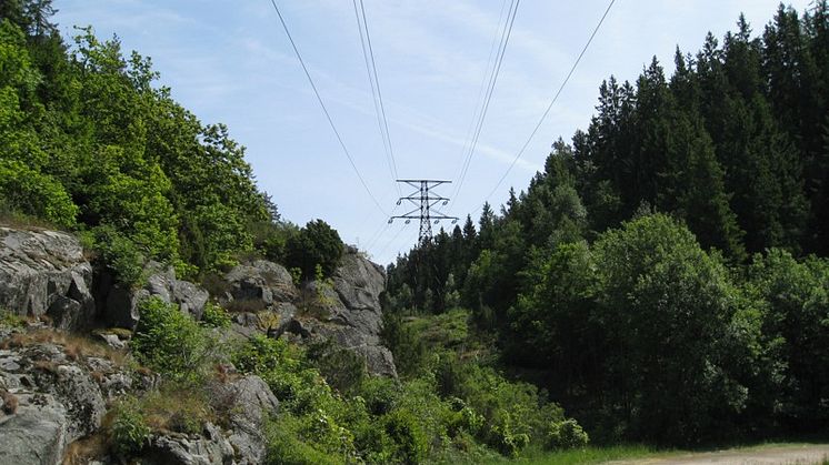 Vattenfall sänker elnätstaxan i regionnätet