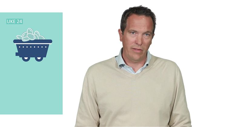 Energiewende utvides med kohlewende