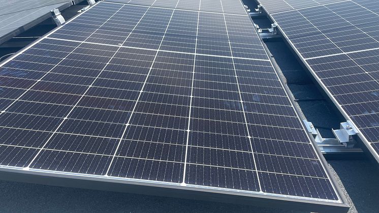 Markante investeringer skal gøre Danish Agros energiforsyning grøn
