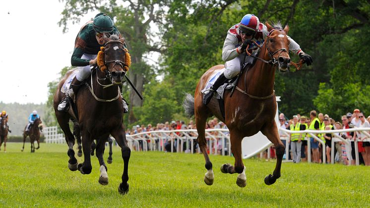 Svenskt Grand National på Strömsholm
