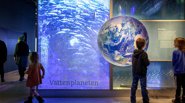 Utforska havet med alla sinnen på nya Sjöfartsmuseet Akvariet. Foto: Kristin Lidell