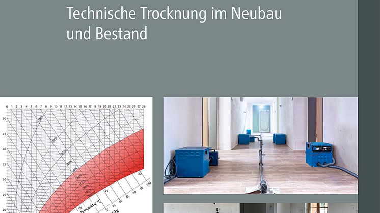 Praxis Handbuch Wasserschäden (2D/tif)