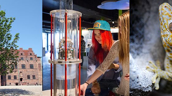 Från Malmö Museer: Malmöhus slott, Idéplaneten och Akvariet.