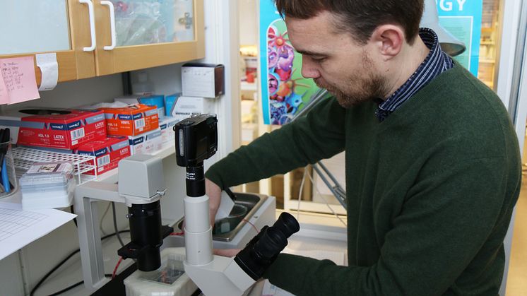 Upgraded standard microscope 