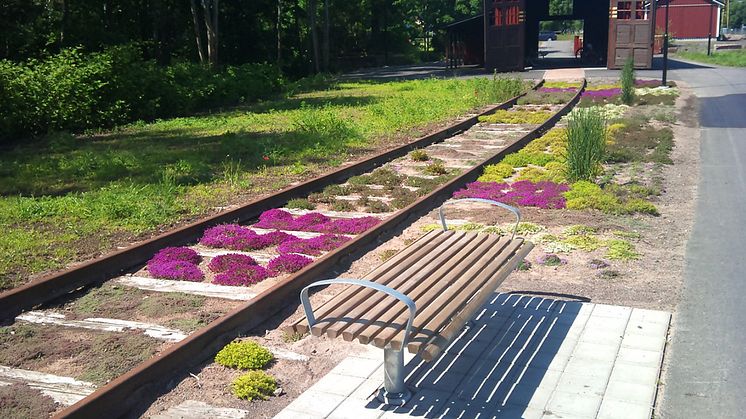 Bolanders park, Nybro