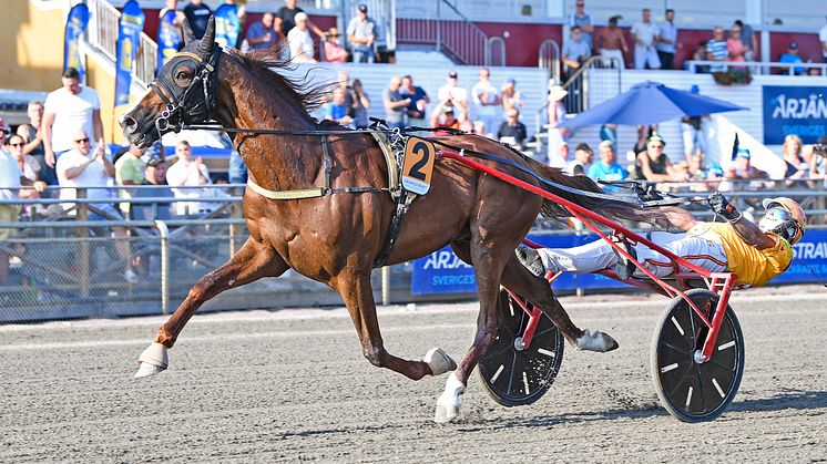 Vernissage Grif är häst tolv att bli klar för sista söndagen i maj. Foto: TR Bild